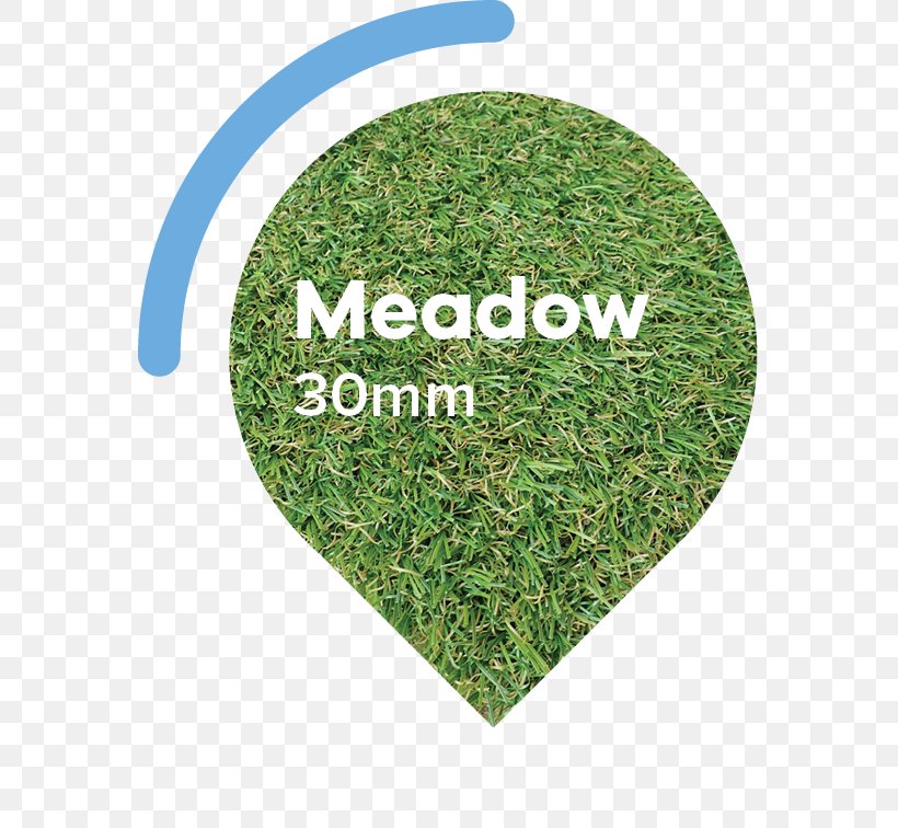 Lawn Artificial Turf Garden Meadow Thatch, PNG, 567x756px, Lawn, Artificial Turf, Garden, Golf, Grass Download Free