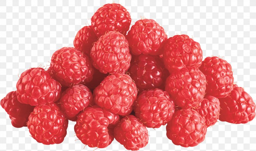 Raspberry Fruit, PNG, 3200x1892px, Raspberry, Berry, Black Raspberry, Blackberry, Bramble Download Free