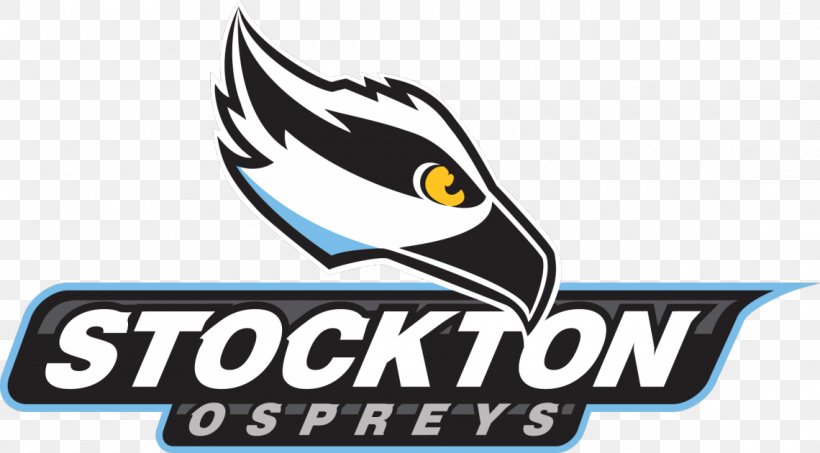 Stockton University Ospreys Men's Basketball Logo Rowan University College, PNG, 1140x630px, Logo, Artwork, Beak, Brand, College Download Free