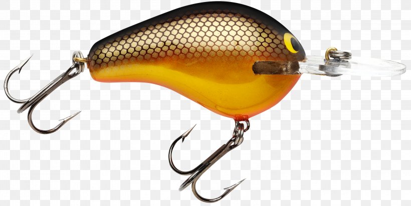 Fishing Baits & Lures Surface Lure, PNG, 3201x1611px, Fishing Bait, Animal, Bait, Crayfish, Fish Download Free