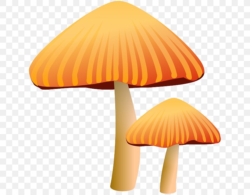 Mushroom Morchella Fungus Clip Art, PNG, 629x640px, Mushroom, Art, Blog, Common Mushroom, Food Download Free