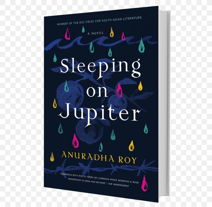 Sleeping On Jupiter Rich And Pretty: A Novel An Atlas Of Impossible Longing Booker Prize, PNG, 640x800px, Booker Prize, Advertising, Author, Book, Fiction Download Free