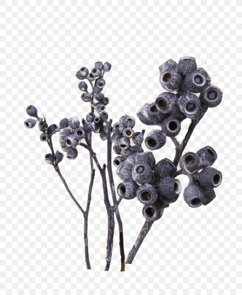 Bilberry Blueberry Body Jewellery Tree, PNG, 769x1000px, Bilberry, Berry, Blueberry, Body Jewellery, Body Jewelry Download Free