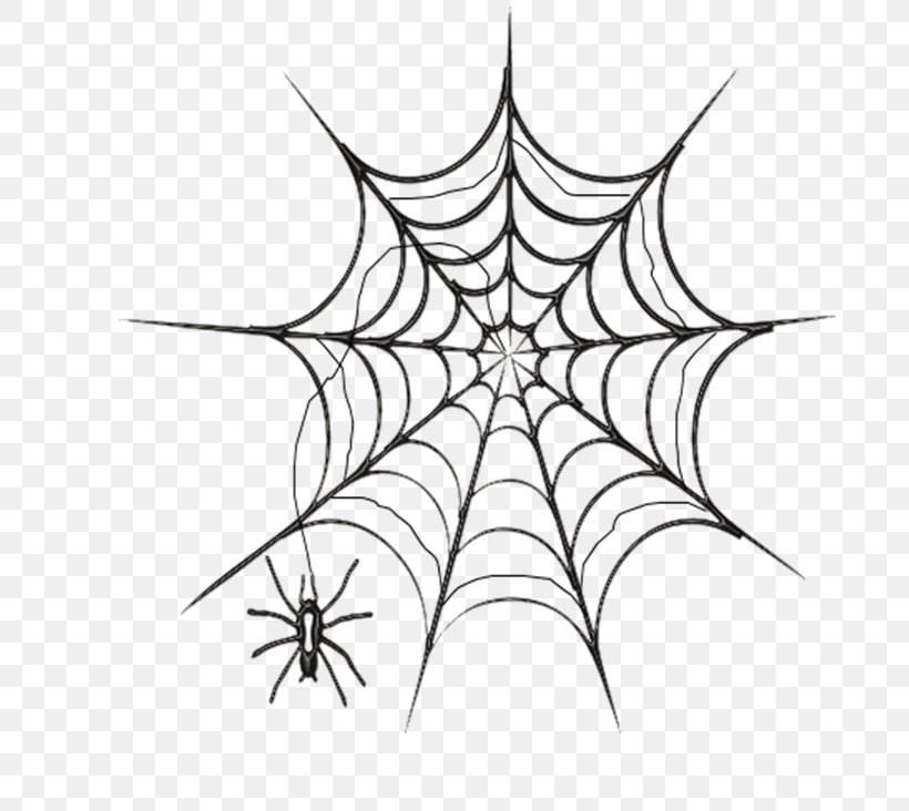Spider Web Drawing Clip Art, PNG, 739x732px, Spider, Area, Artwork, Autocad Dxf, Black And White Download Free