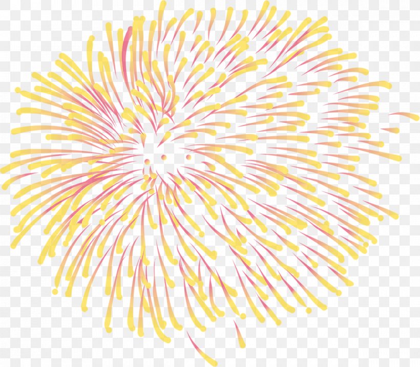 Fireworks, PNG, 1189x1040px, Fireworks, Designer, Organism, Point, Search Engine Download Free