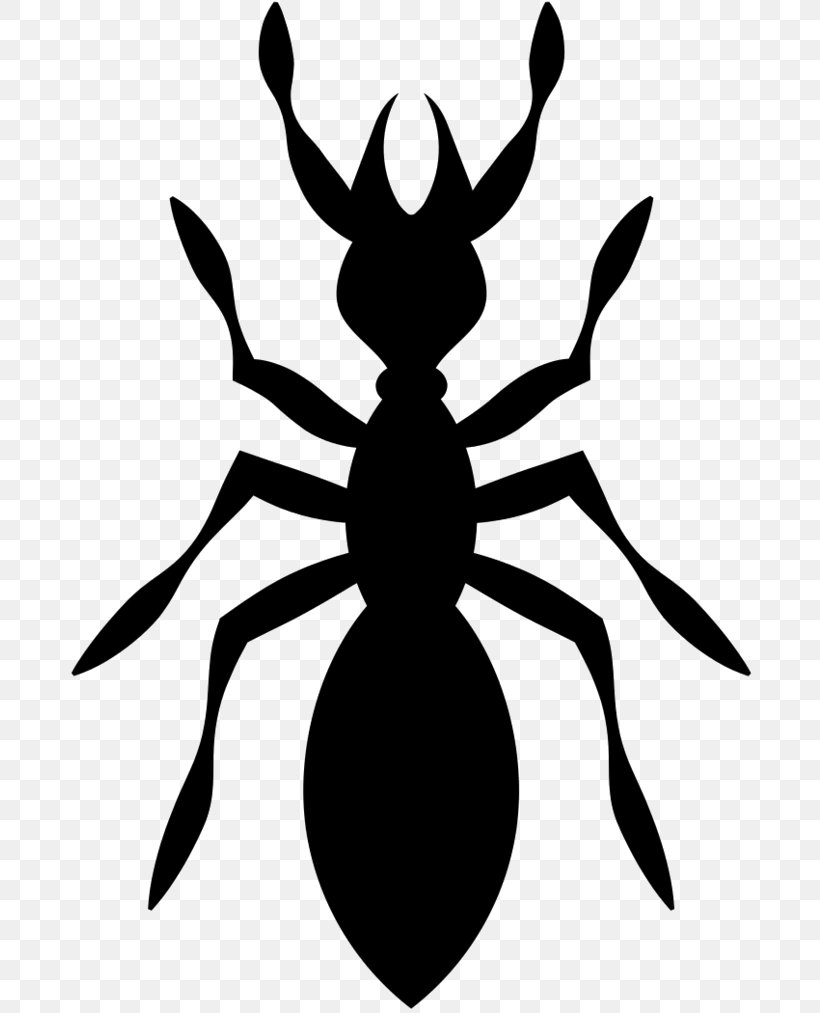 Insect Pest Control Clip Art Black & White, PNG, 696x1013px, Insect, Arachnid, Arthropod, Black, Black White M Download Free