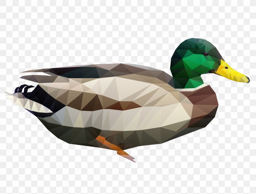 Mallard Duck Beak Feather, PNG, 2319x1762px, Mallard, Beak, Bird, Duck, Ducks Geese And Swans Download Free