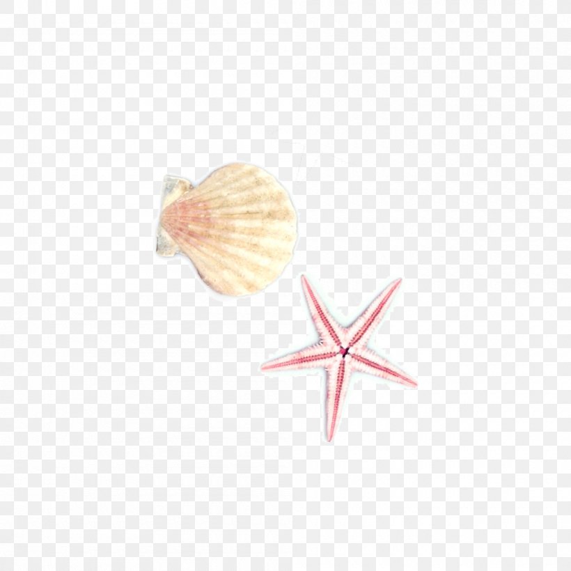 Starfish Seashell Euclidean Vector, PNG, 1000x1000px, Starfish, Designer, Gratis, Peach, Petal Download Free