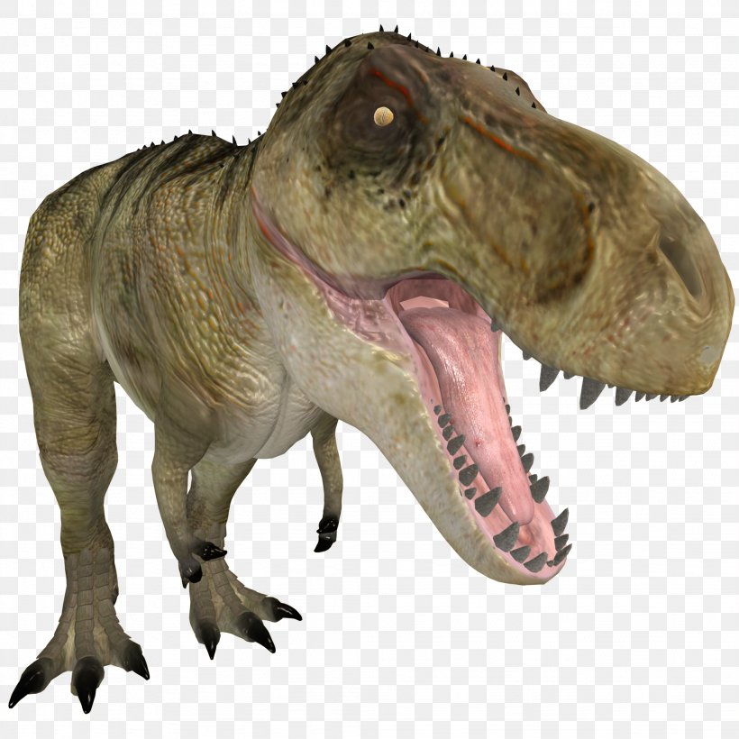 Tyrannosaurus Rex Allosaurus 3D Computer Graphics, PNG, 2048x2048px, 3d Computer Graphics, 3d Modeling, Tyrannosaurus Rex, Allosaurus, Anatomy Download Free