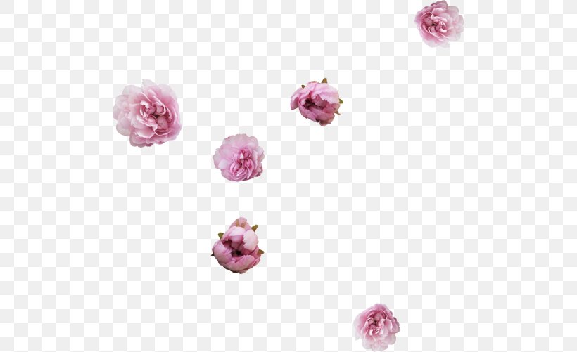 Flower Drawing Collage Clip Art, PNG, 500x501px, Flower, Albom, Collage, Drawing, Magenta Download Free