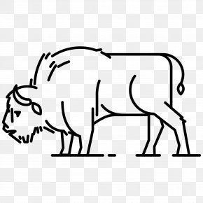 Bison - Bison Bonasus Water Buffalo African Buffalo Coloring Book Plains Bison PNG