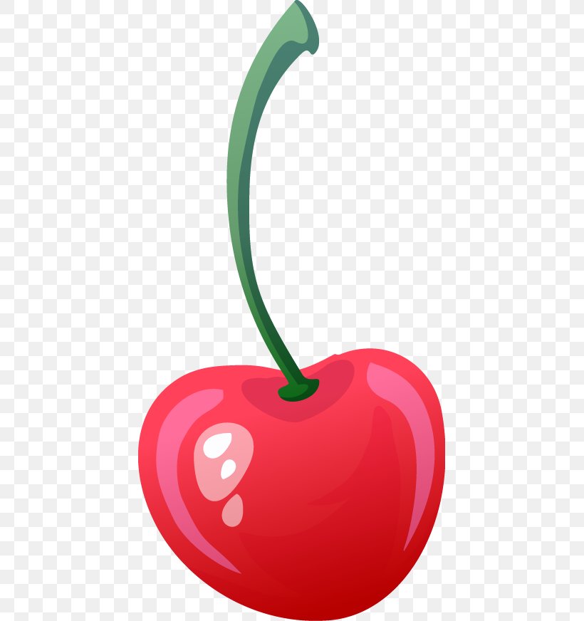 Cherry Fruit Drawing, PNG, 431x872px, Cherry, Auglis, Berry, Cerasus, Cerise Download Free