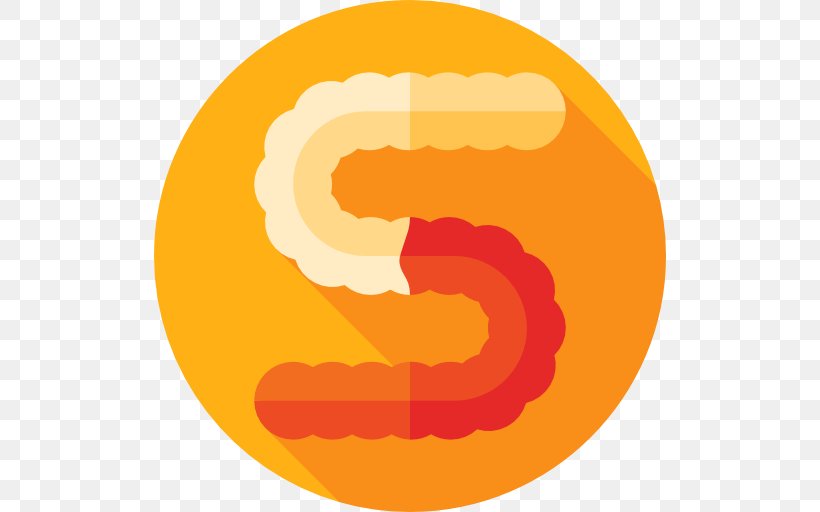 Circle Clip Art, PNG, 512x512px, Orange, Area, Symbol, Yellow Download Free