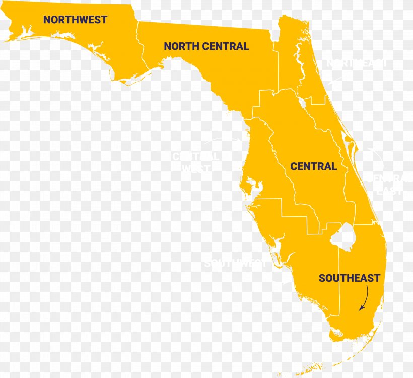 Florida Continuing Education Map, PNG, 3140x2877px, Florida, Area, Continuing Education, Continuing Education Unit, Diagram Download Free