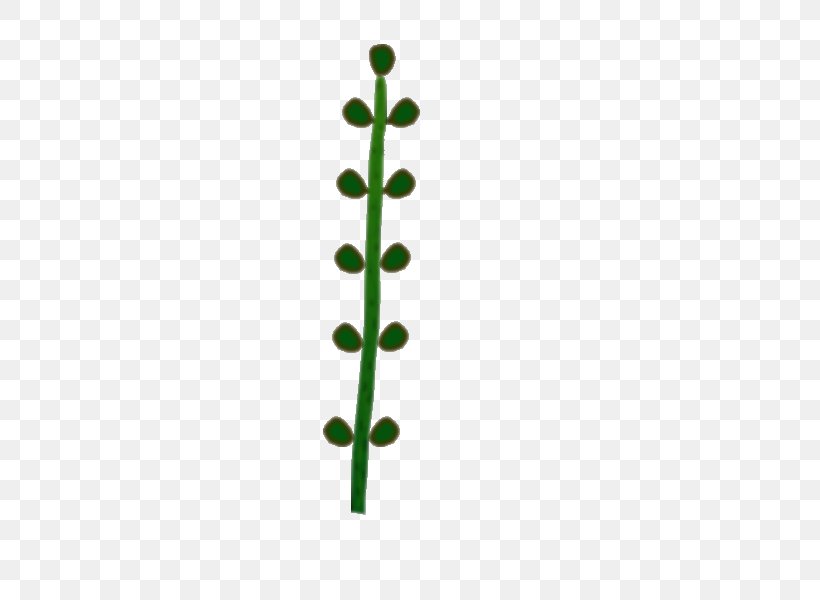 Leaf Line Green Angle Plant Stem, PNG, 800x600px, Leaf, Grass, Green, Plant, Plant Stem Download Free