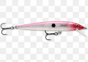 Fishing - Rapala Fishing Baits & Lures Trolling Bass Worms PNG