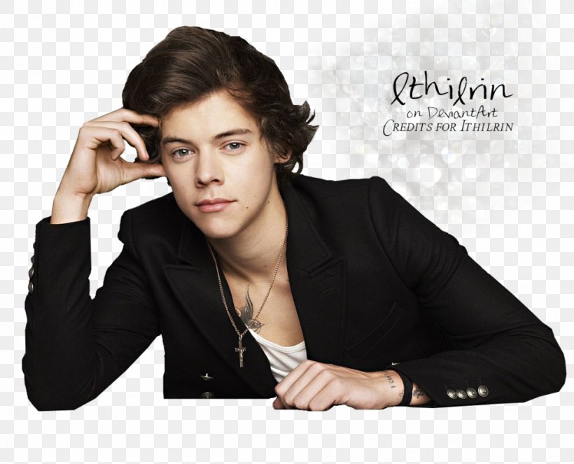 Harry Styles One Direction The X Factor Take Me Home Tour, PNG, 994x804px, Watercolor, Cartoon, Flower, Frame, Heart Download Free