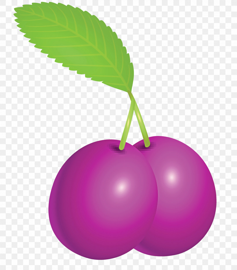 Prune Fruit, PNG, 2624x3000px, Prune, Berry, Cherry, European Plum, Flower Download Free