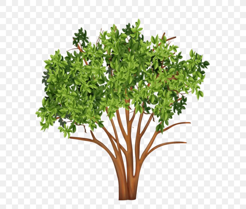 Christmas Tree Branch Hit Shrub, PNG, 600x695px, Tree, Animation, Branch, Christmas Tree, Fauteuil Download Free