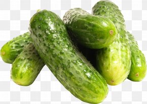 Cucumbers - Cucumber Clip Art PNG