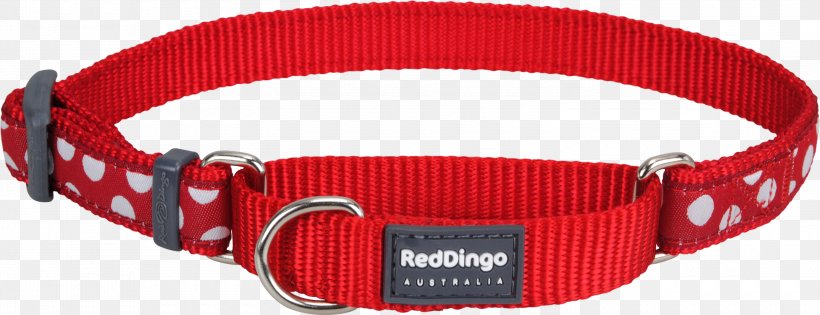 Dog Collar Dingo Strap Belt, PNG, 3000x1154px, Dog, Belt, Belt Buckle, Belt Buckles, Buckle Download Free