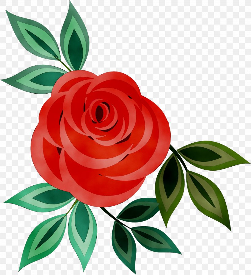 Dripping Springs Community Library Garden Roses Cut Flowers Floral Design, PNG, 2503x2736px, Garden Roses, Botany, Branch, Bud, Camellia Download Free