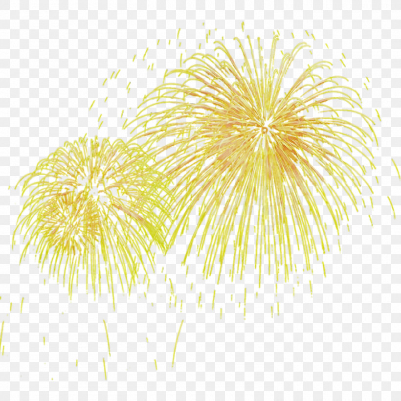 Fireworks Toutiao Gratis Festival Event G, PNG, 1500x1500px, Watercolor, Computer, Creativity, Divergent Series, Event G Download Free