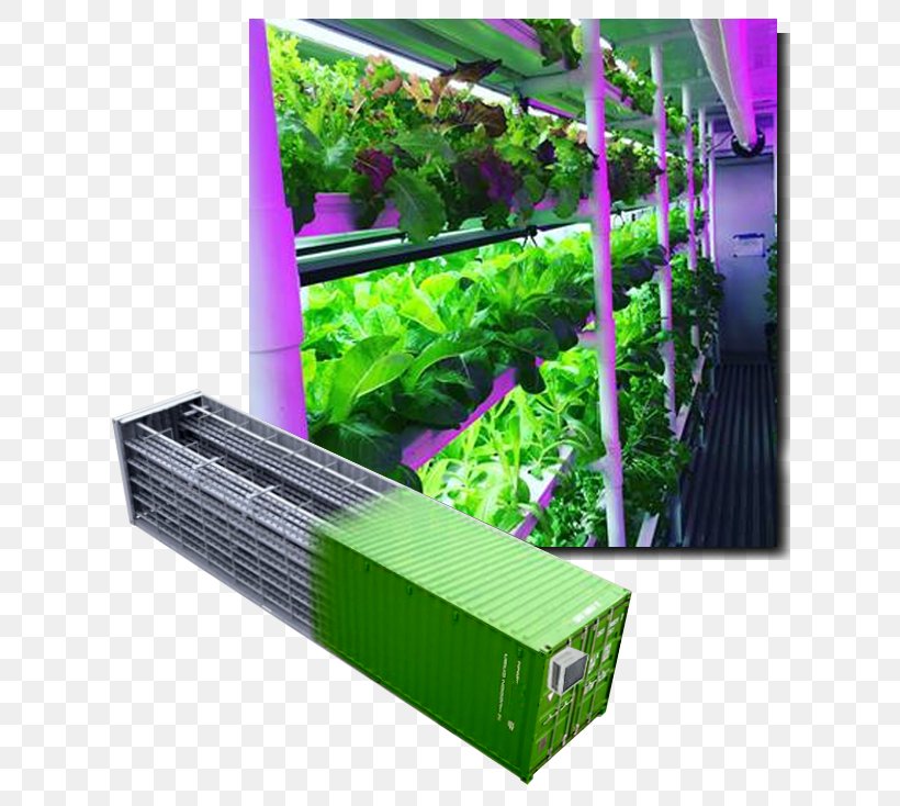 Intermodal Container Hydroponics Agriculture Shipping Container Farm, PNG, 652x734px, Intermodal Container, Agriculture, Aquaponics, Container, Containerization Download Free