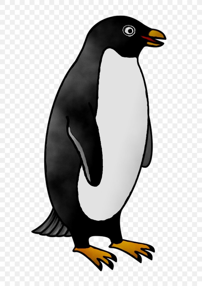 King Penguin Fauna Beak, PNG, 1097x1551px, King Penguin, Beak, Bird, Emperor Penguin, Fauna Download Free
