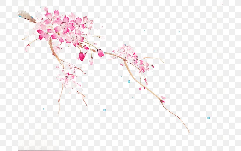Sakura-Con Cherry Blossom Idea, PNG, 700x516px, Sakuracon, Blossom, Branch, Cerasus, Cherry Blossom Download Free