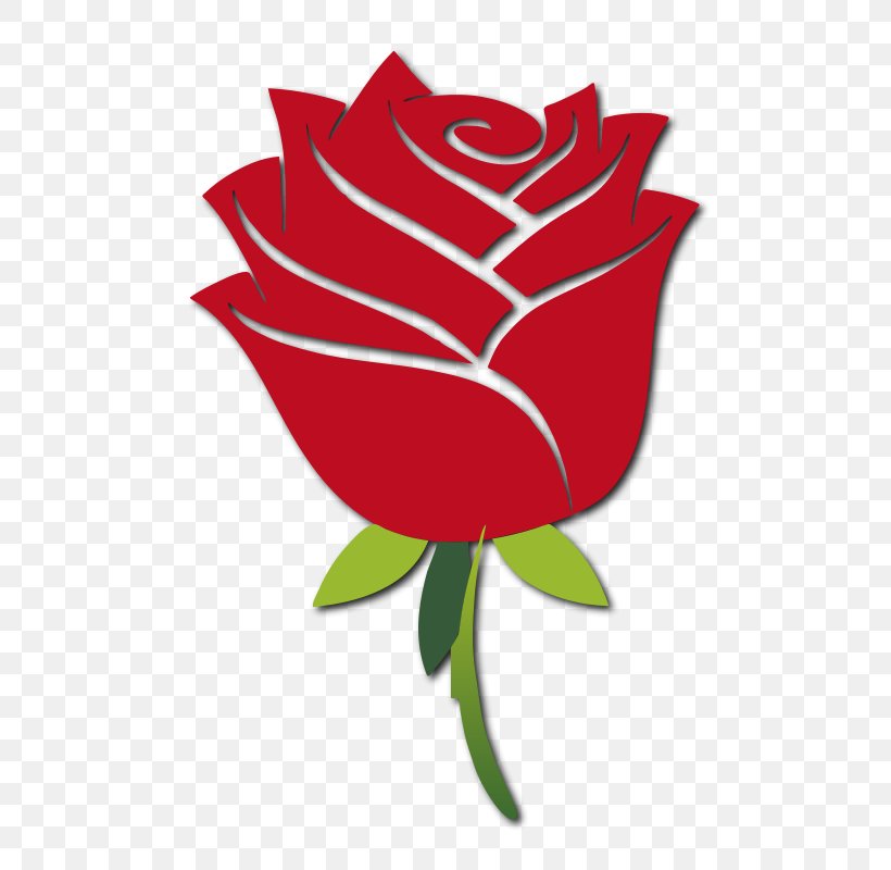 Best Roses Desktop Wallpaper Clip Art, PNG, 531x800px, Rose, Best Roses, Black Rose, Cut Flowers, Flora Download Free