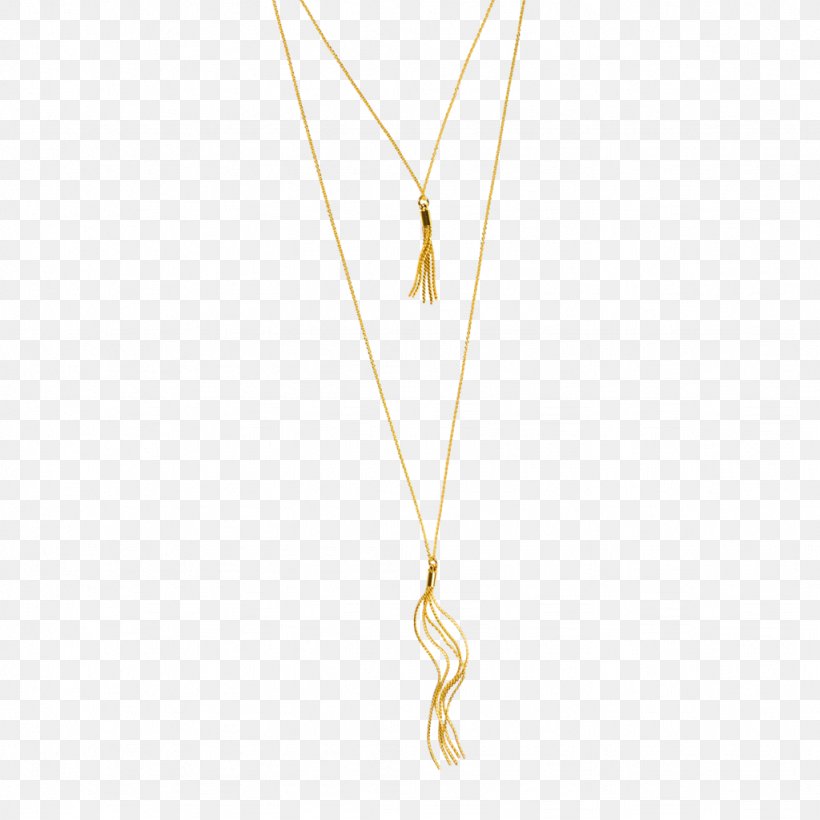 Charms & Pendants Necklace Body Jewellery, PNG, 1024x1024px, Charms Pendants, Body Jewellery, Body Jewelry, Chain, Fashion Accessory Download Free