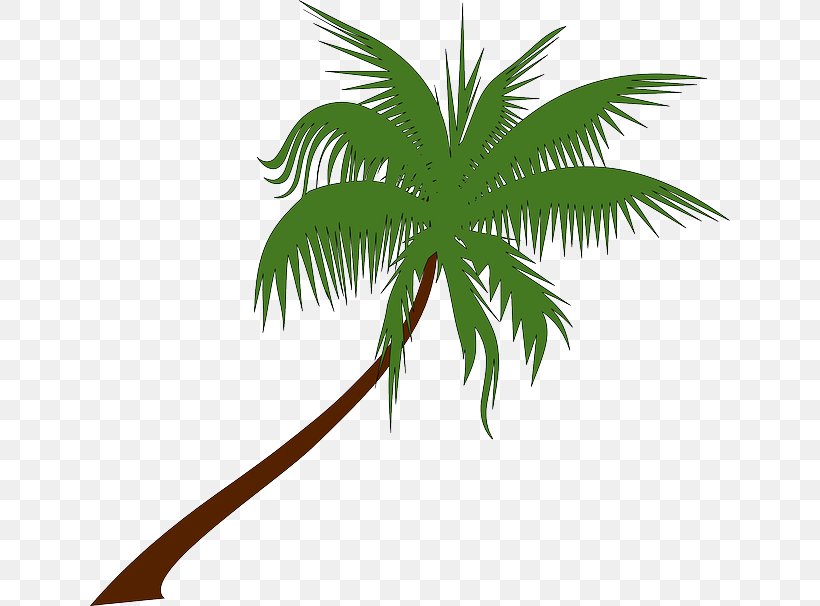 Coconut Arecaceae Tree Clip Art, PNG, 640x606px, Coconut, Arecaceae, Arecales, Branch, Date Palm Download Free