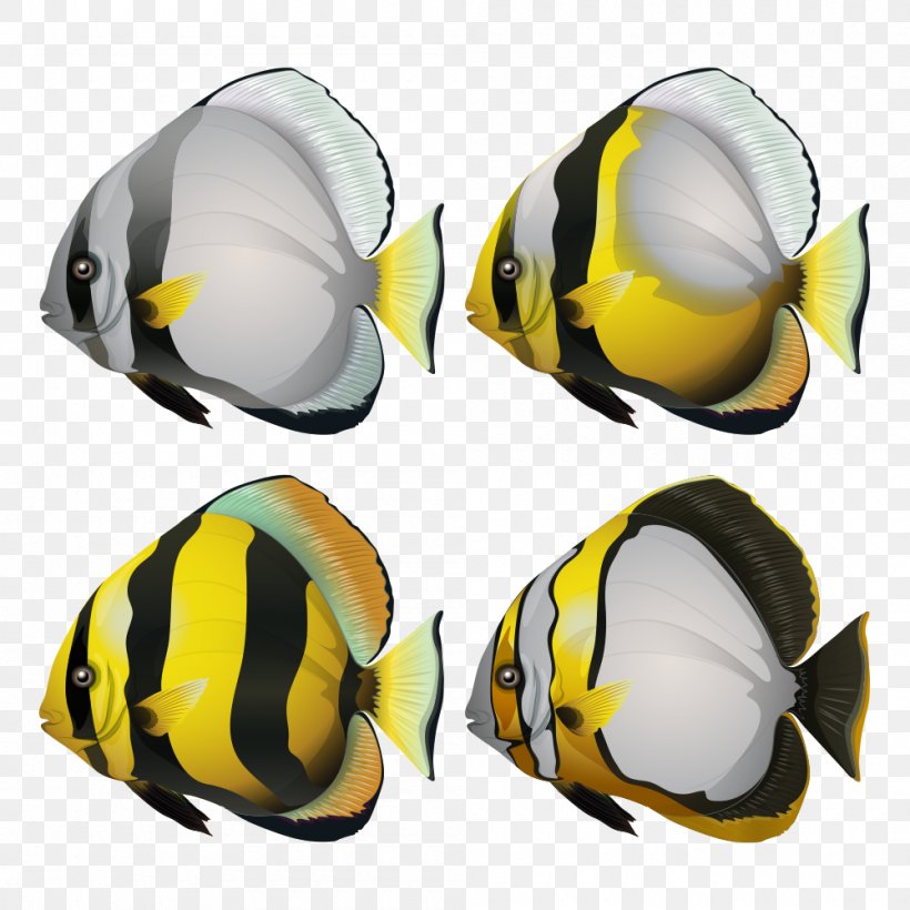 Fish U6d77u6c34u9b5a, PNG, 1000x1000px, Fish, Animation, Bicycle Clothing, Bicycle Helmet, Bicycles Equipment And Supplies Download Free
