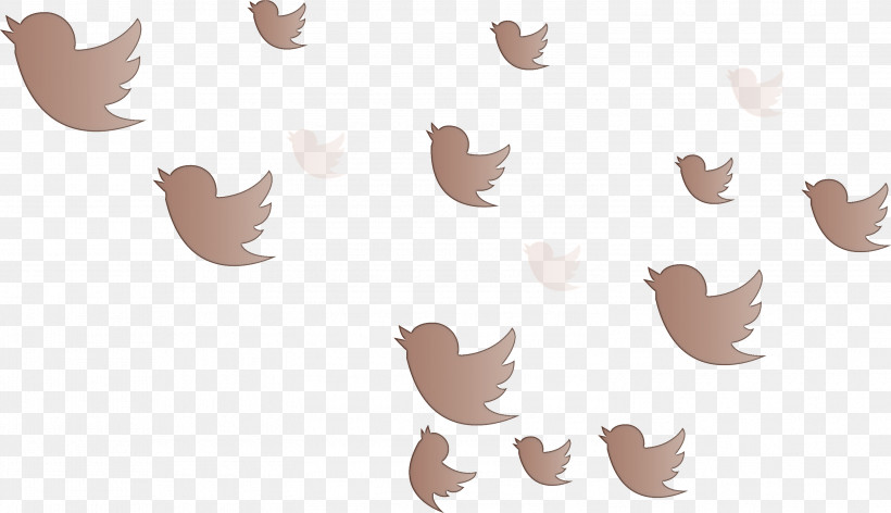 Twitter Flying Birds Birds, PNG, 2999x1729px, Twitter, Beige, Birds, Brown, Flying Birds Download Free