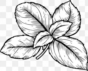Poisson Grillades - Basil Herb Italian Cuisine Drawing Clip Art PNG