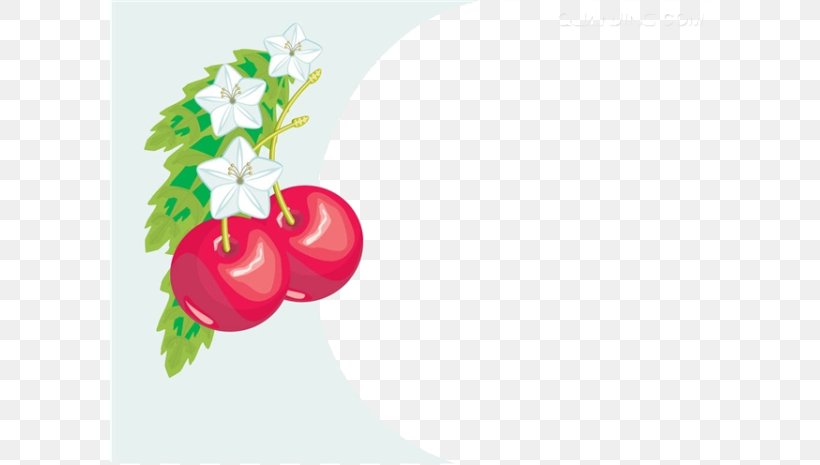 Cherry Photography Royalty-free Illustration, PNG, 600x465px, Cherry, Apple, Aquifoliaceae, Auglis, Berry Download Free