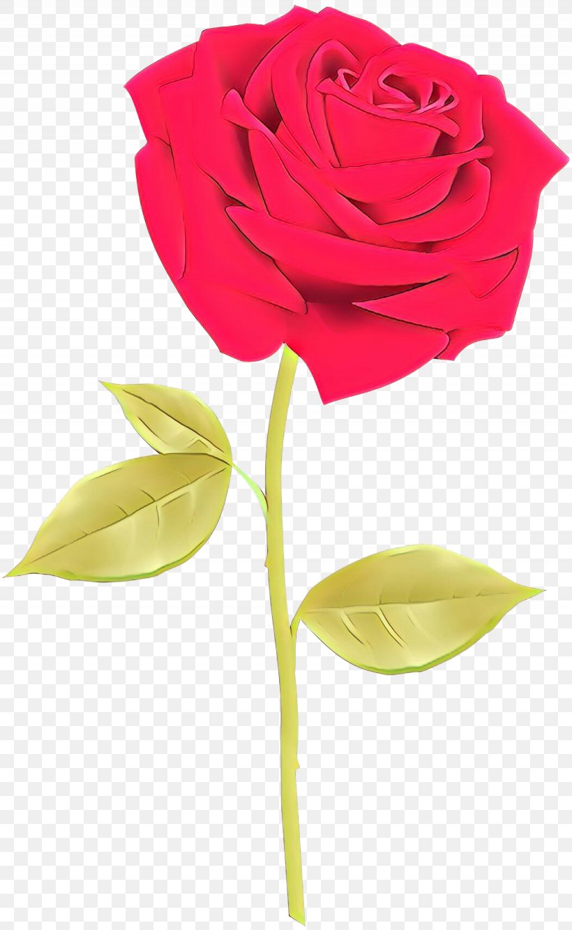 Garden Roses Cut Flowers Floral Design, PNG, 1845x2999px, Garden Roses, Botany, Bud, China Rose, Cut Flowers Download Free