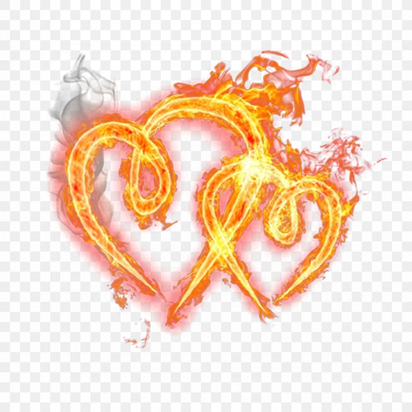 Heart Fire Flame Clip Art, PNG, 1181x1181px, Heart, Fire, Flame, Flower, Love Download Free