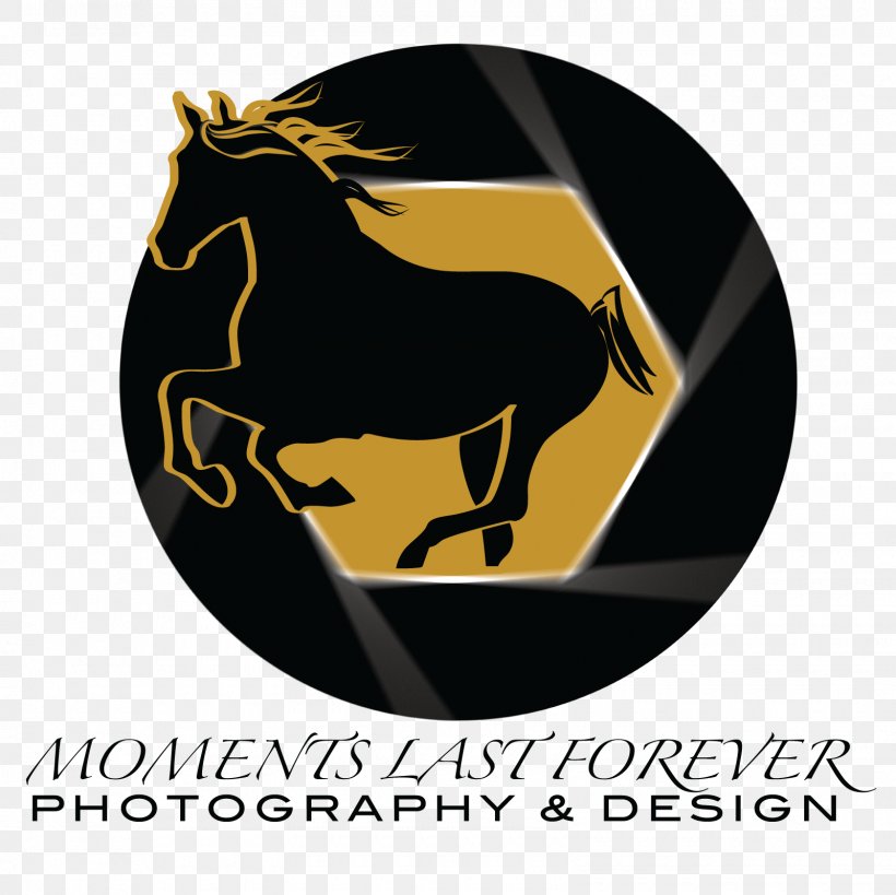 Horse Logo Font, PNG, 1600x1600px, Horse, Brand, Horse Like Mammal, Label, Logo Download Free