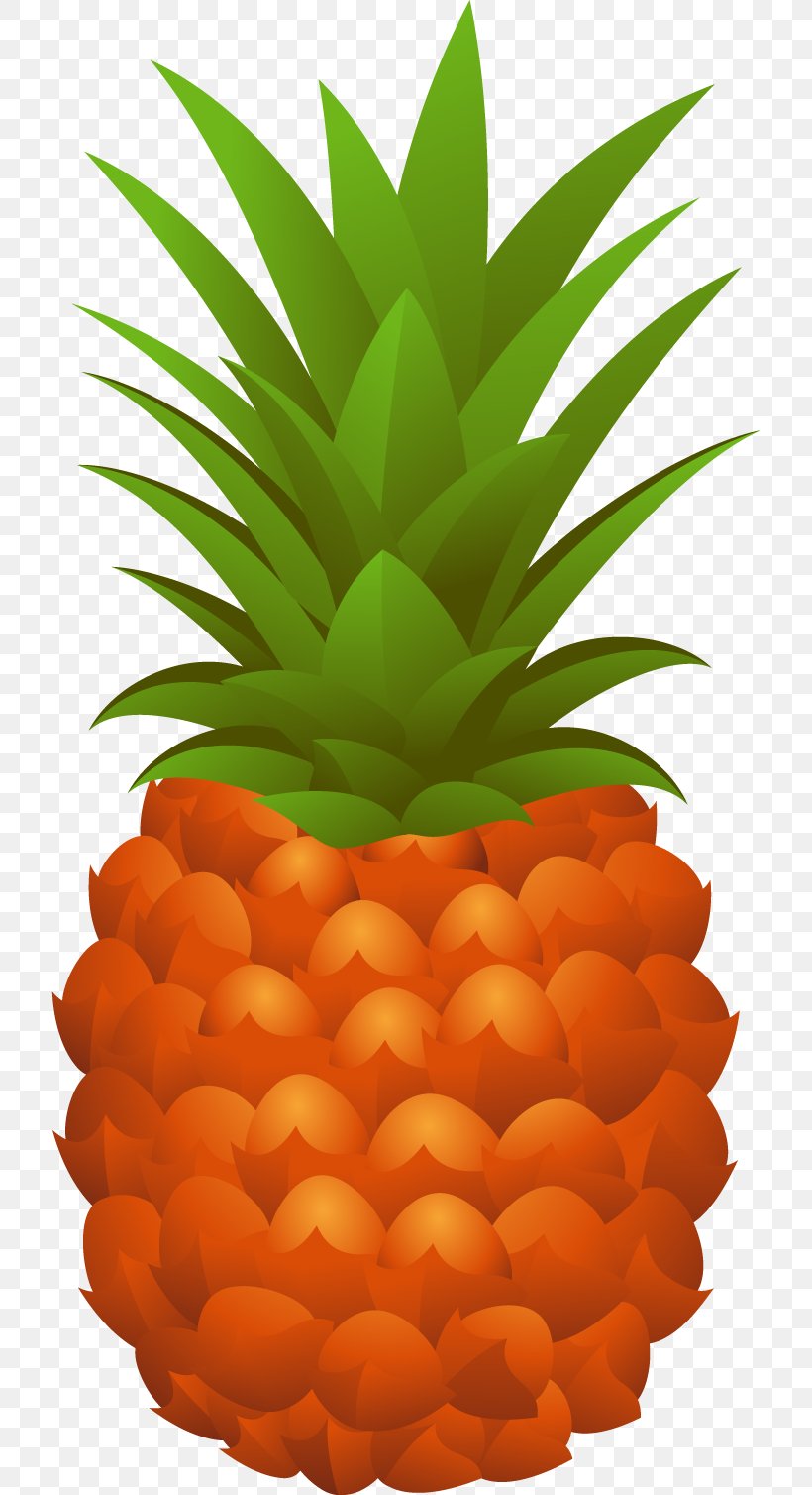 Pineapple Cdr, PNG, 715x1508px, Pineapple, Ananas, Bromeliaceae, Cdr, Drawing Download Free