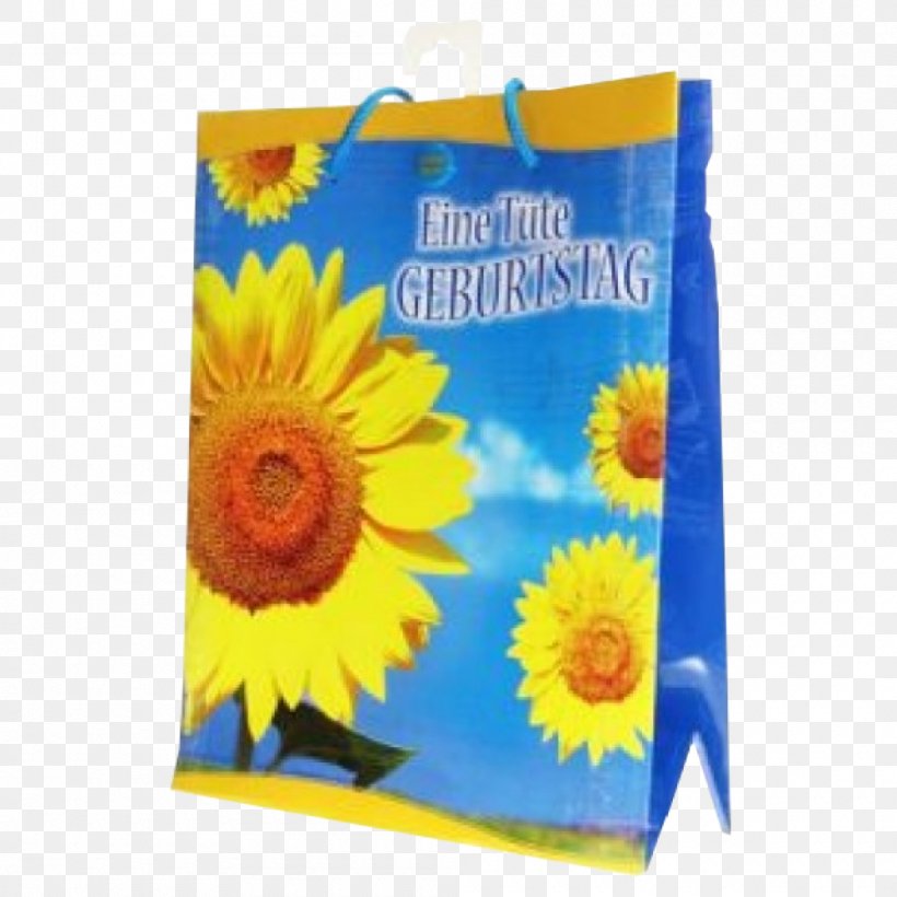 Sunflower M, PNG, 1000x1000px, Sunflower M, Flower, Flowering Plant, Sunflower, Sunflower Seed Download Free