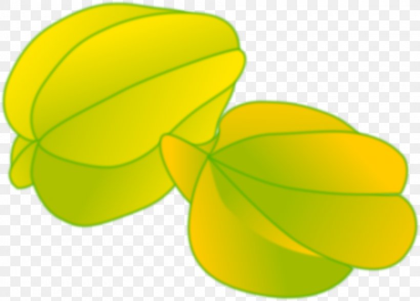 Fruit Carambola Clip Art, PNG, 1920x1379px, Fruit, Apple, Carambola, Flower, Green Download Free