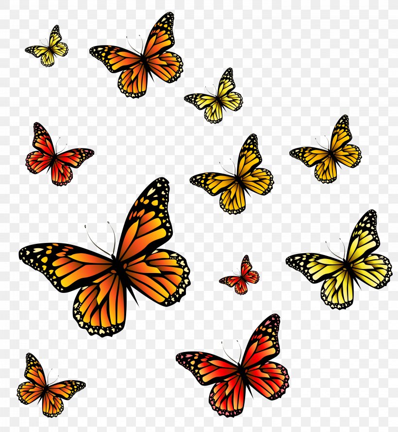 Monarch Butterfly Clip Art, PNG, 5893x6409px, Butterfly, Brush Footed Butterfly, Butterflies And Moths, Butterfly Effect, Caterpillar Download Free