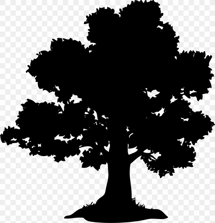 Oak Tree Chestnut Acorn, PNG, 1500x1552px, Oak, Acorn, Black And White, Branch, Chestnut Download Free