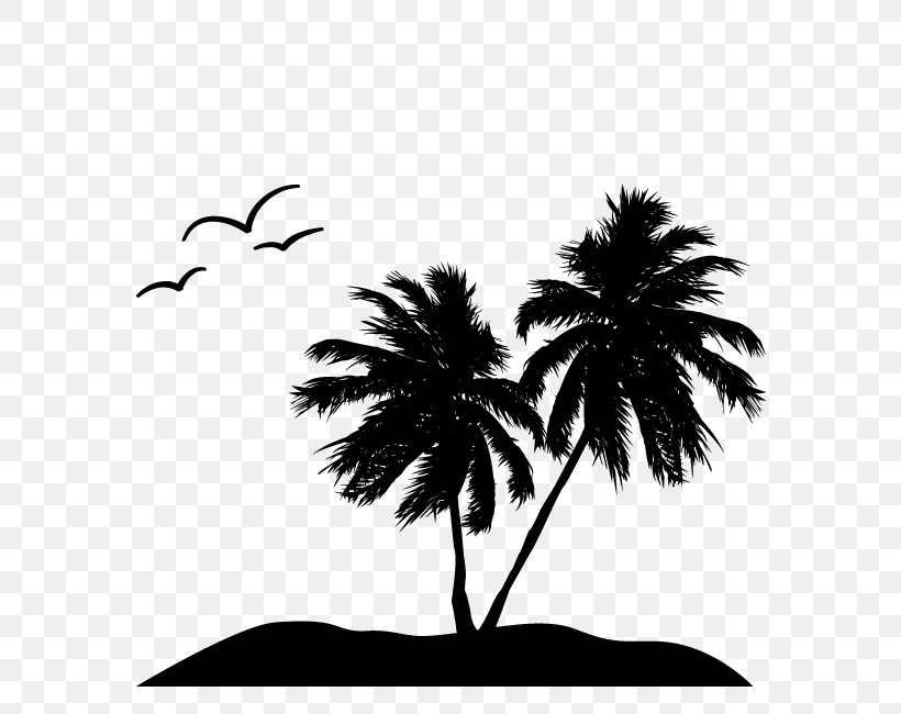 Palm Tree, PNG, 650x650px, Tree, Arecales, Blackandwhite, Leaf, Palm Tree Download Free