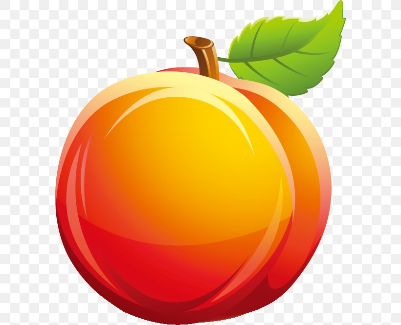 Peach Fruit Juicer Auglis Common Plum, PNG, 596x665px, Peach, Apple, Auglis, Common Plum, Drawing Download Free