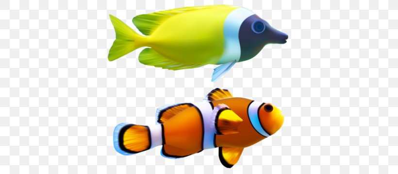 Clownfish Clip Art, PNG, 400x358px, Clownfish, Coral Reef Fish, Deep Sea Creature, Fish, Marine Biology Download Free