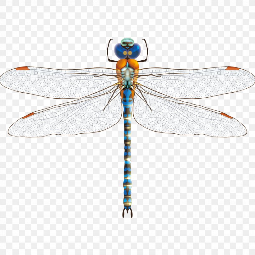 Dragonfly Damselfly Insect Clip Art, PNG, 1667x1667px, Dragonfly, Arthropod, Damselfly, Dragonflies And Damseflies, Drawing Download Free