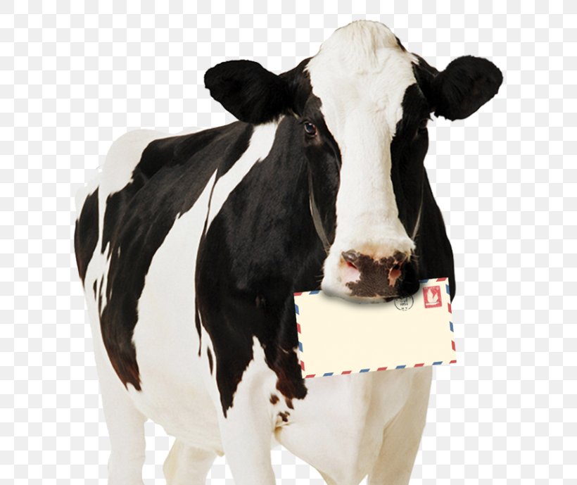 Holstein Friesian Cattle Highland Cattle Standee Dairy Cattle Paperboard, PNG, 640x689px, Holstein Friesian Cattle, Art, Calf, Cardboard, Cattle Download Free